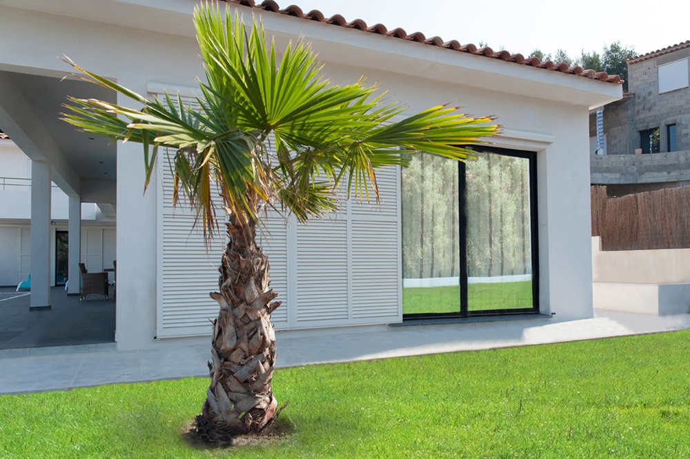 amb vbc p coulissant pointalver ubeaud 004