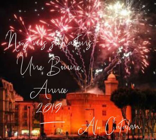 Bonne&#x20;Ann&#x00E9;e&#x20;2019&#x20;&#x21;