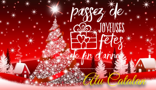 Bonnes&#x20;F&#x00EA;tes&#x20;de&#x20;fin&#x20;d&amp;&#x23;8217&#x3B;ann&#x00E9;e